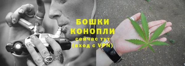 гидра Бронницы
