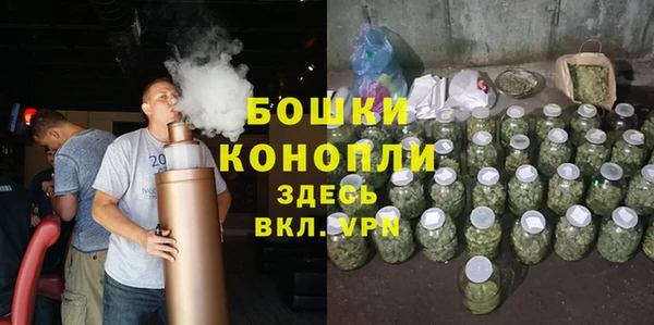 гидра Бронницы