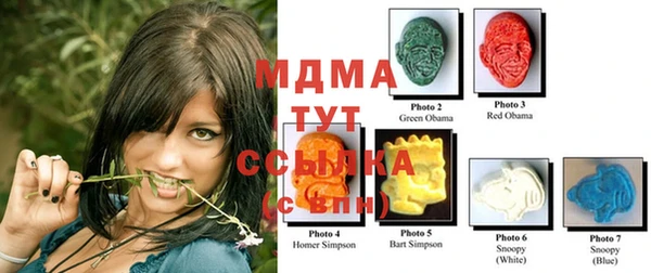 гидра Бронницы